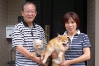 埼玉県所沢市矢野様 外壁塗装後のお客様レビュー